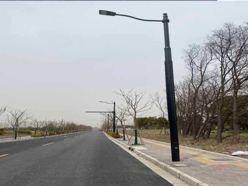 巴宜区上海综合杆 太阳能路灯工程